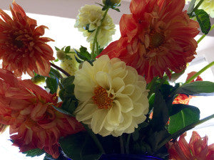 Who's Playing for SMILES?